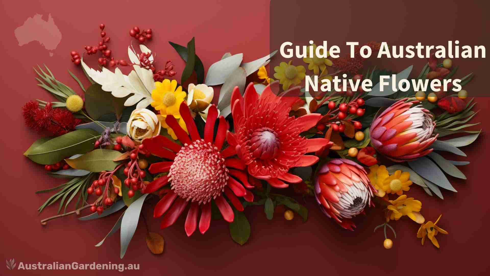 Arrangement of Australian Native Flowers